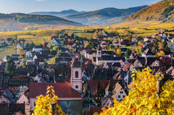 Scenic autumn mountain landscape with vineyards in France Spectacular autumn mountain landscape with vineyards near the historic village of Riquewihr, Alsace, France. Colorful travel and wine-making background. riquewihr stock pictures, royalty-free photos & images