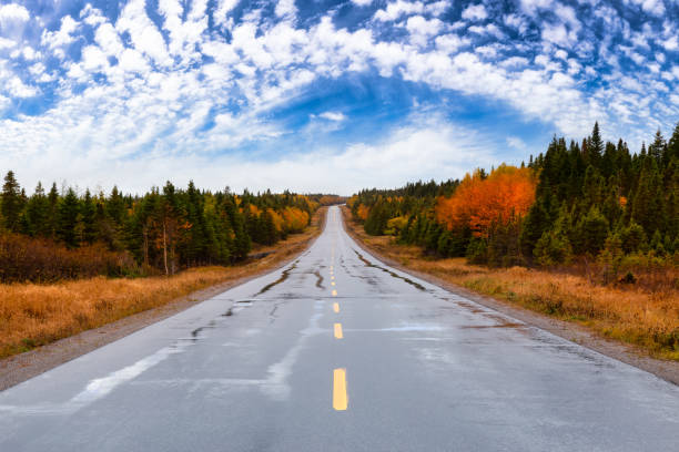 Scenic highway during a vibrant sunny day in the fall season. stock photo