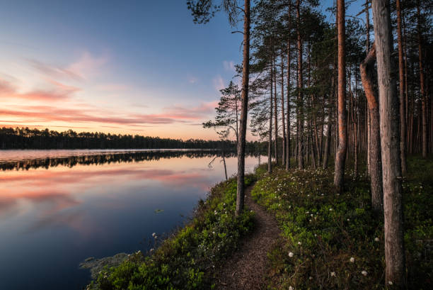 vista panoramica sul lago con sentiero idilliaco e tramonto in una serata tranquilla nel parco nazionale, in finlandia - finlandia laghi foto e immagini stock