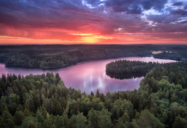 paesaggio panoramico con alba e lago in estate nel parco nazionale aulanko, hämeenlinna, finlandia - finlandia laghi foto e immagini stock