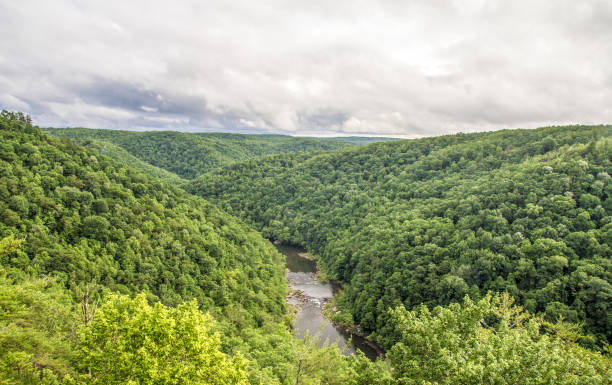 Scenic Overlook View Of The Big South Fork Recreation Area In Tennessee The Big South Fork Recreation Area encompasses over 12,000 acres in the Appalachian Mountains of Kentucky and Tennessee and protects the Big South Fork River. cumberland river stock pictures, royalty-free photos & images