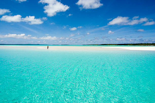 scenic photo of a clear sea and beach  - cook islands 個照片及圖片檔