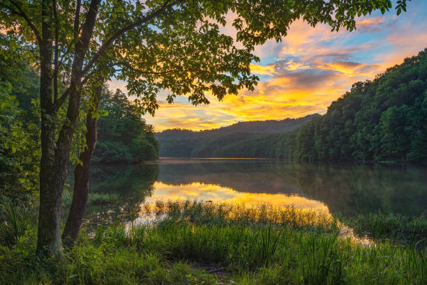 Scenic summer sunset over calm mountain lake Dramatic evening light from along the lush shoreline of Cranks Creek Lake in the Southern Appalachian Mountains of Kentucky kentucky stock pictures, royalty-free photos & images