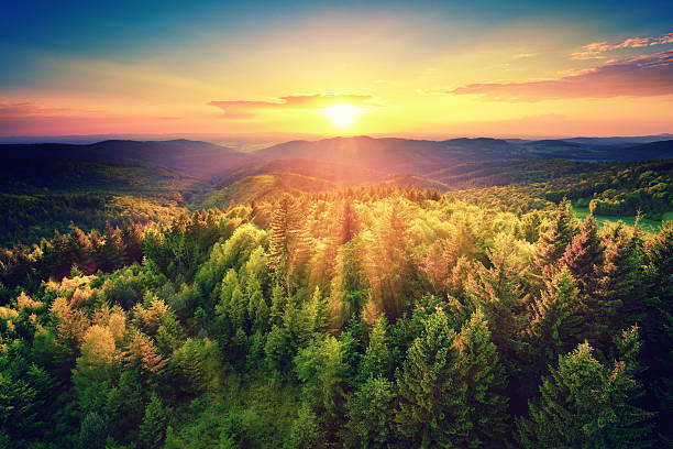 Scenic sunset over the forest Bird's-eye view of a scenic sunset over the   forest hills, with toned dramatic colors wide stock pictures, royalty-free photos & images