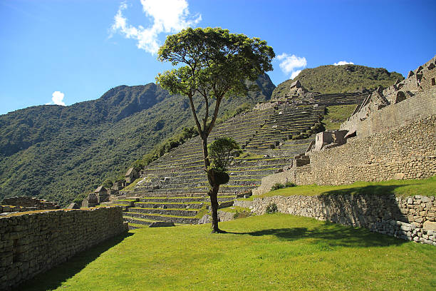 Scenic view in Macchu Picchu, Peru, South America stock photo