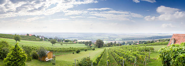 Scenic View of Burgenland stock photo