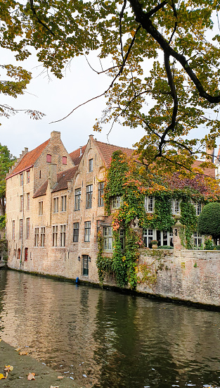 Bruges, Belgium - October 2021: Idyllic canal house in the historic town of Bruges is overgrown with climbing plants in autumn.