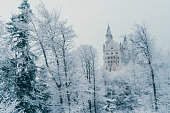 Scenic view of  Neuschwanstein castle in Germany   in winter  Schwangau, Germany - November 29, 2017