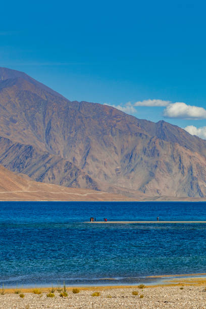 Scenic view of Pangong Lake or Pangong Tso in Ladakh, India Pangong Lake or Pangong Tso, the most beautiful lake in ladakh and india, its a salt water lake and connects india and china. leh district stock pictures, royalty-free photos & images