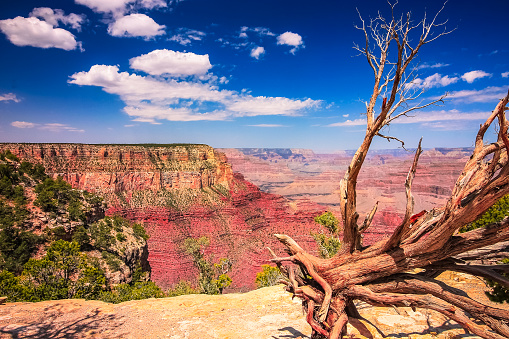 Scenic view of south rim of Grand Canyon showing red rock colorations from Rim Trail