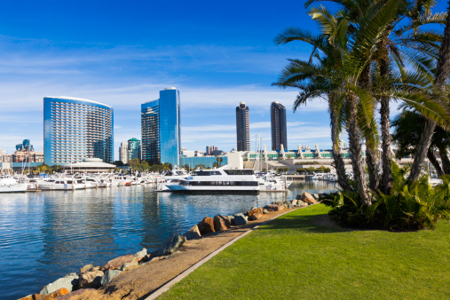 The skyline of San Diego reflects in the Embarcadero Marina with the palm trees framing the scene.