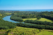 istock Scenic View of the Wailua River with tourist kayaking in Kauai, Hawaii 1167050353