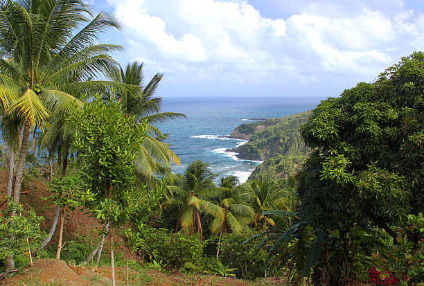 Scenic view to Atlantic Ocean coastline, Dominica, Caribbean islands stock photo