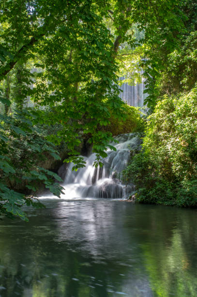 Scenic waterfall surrounded by the green forest stock photo