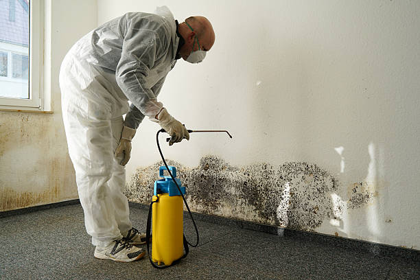 Schimmelbekämpfung Specialist in combating mold in an apartment fungal mold stock pictures, royalty-free photos & images