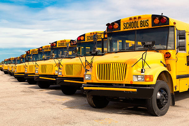 school buses row of yellow school buses lined up in a parking lot school buses stock pictures, royalty-free photos & images