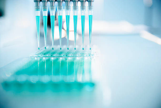 Scientific Research Using a multichannel pipette to transfer liquid into a microtiter plate. pipette stock pictures, royalty-free photos & images
