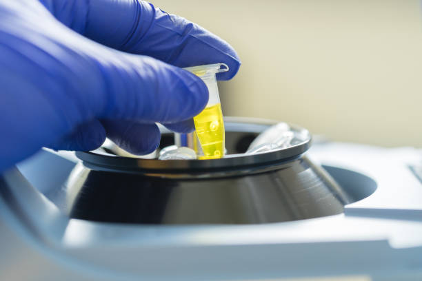 Scientist loading a sample to centrifuge stock photo