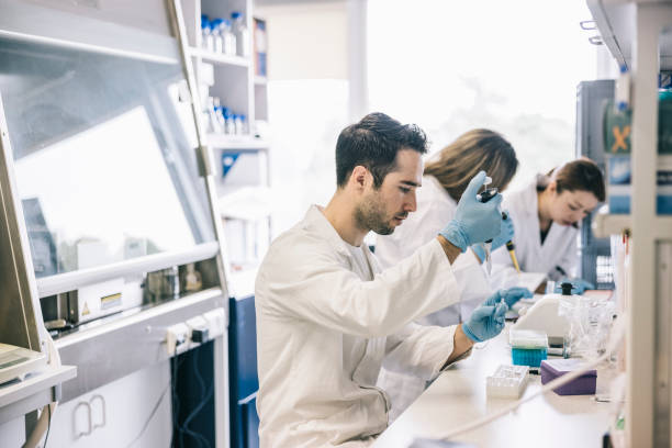 Scientist taking samples with pipette stock photo