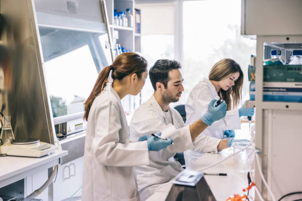 Scientist working together in laboratory stock photo