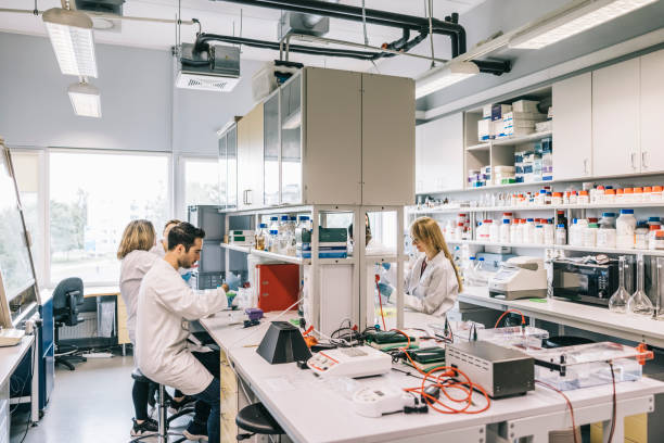 Scientist working together in laboratory stock photo
