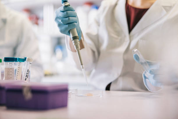 Scientists taking samples with pipette stock photo
