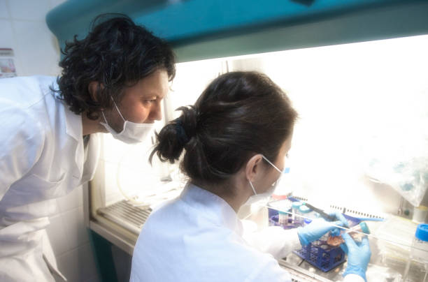 Scientists working in Lab stock photo