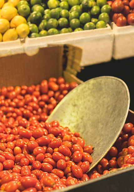 Scoop in tomatoes stock photo