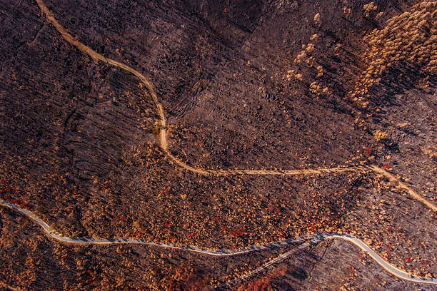 Scorched ground Monchique forests. View from sky. stock photo