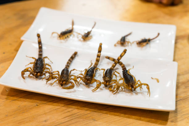 Scorpion meal dish stock photo