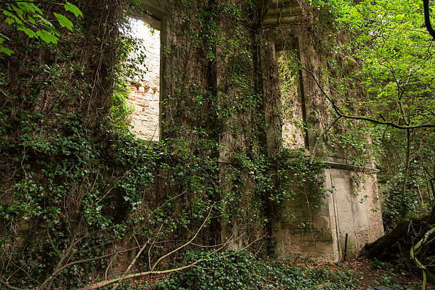 Scotland - Abandoned and overgrown stone house stock photo