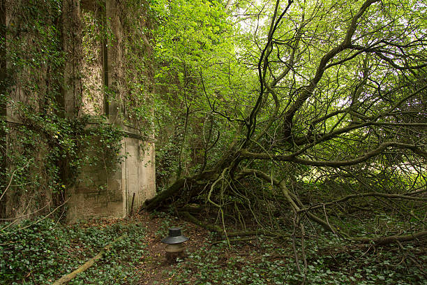 Scotland - Abandoned and overgrown stone house stock photo