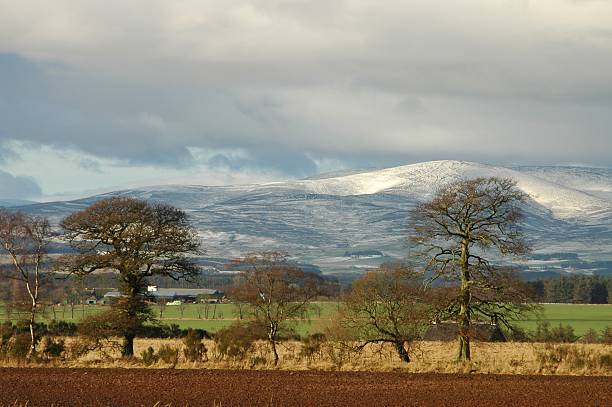 Scottish countryside stock photo