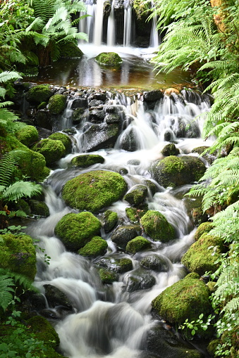 A beautiful long exposure photo of a Scottish Glen with waterfall and mossy boulders in the river