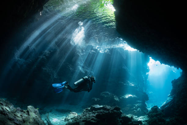 Scuba Diver in Shallow Lagoon Beautiful light beams through the jungle canopy then into this cavern system. pacific ocean photos stock pictures, royalty-free photos & images
