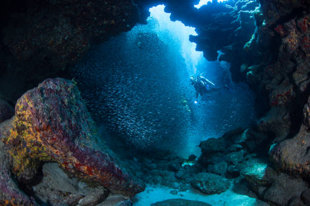 Scuba Diver in Undewater Cavern stock photo