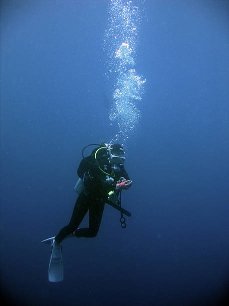 scuba diver underwater stop sabang philippines  deep sea diving stock pictures, royalty-free photos & images