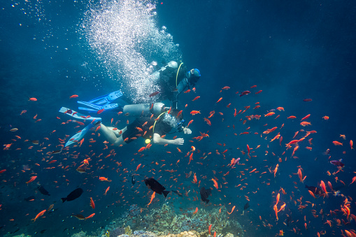 Scuba Instructor Diving With Student Near Coral Reef In ...