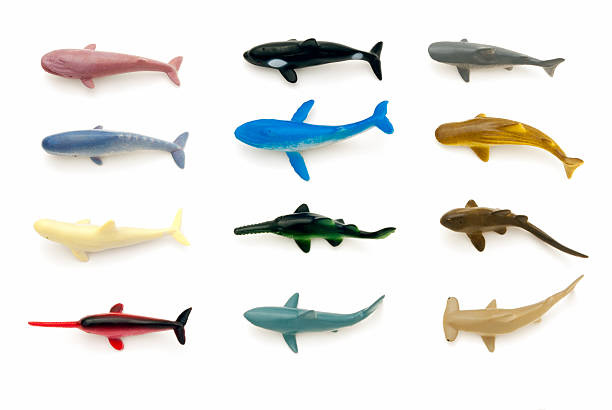 Sea animals (sharks and whales) stock photo