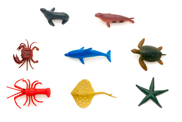Sea animals (varied) stock photo