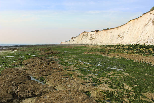 Sea bed during low tide with cliff background stock photo
