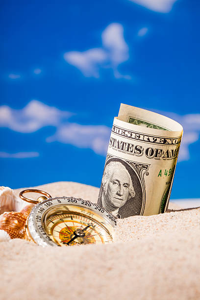 set of sea shells studio composition and dollar money on sand and...