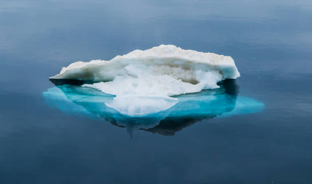 Sea ice reflection stock photo