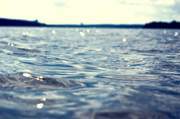 havs vatten, mälaren i sverige - badstrand sommar sverige bildbanksfoton och bilder