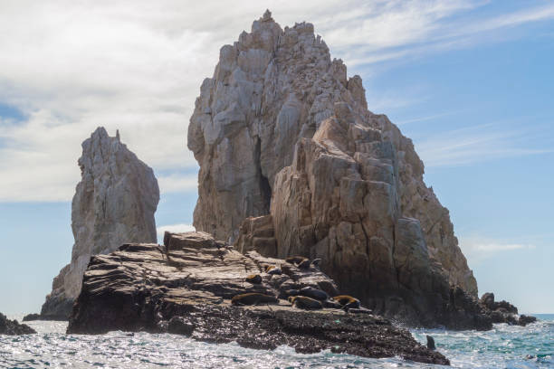 морские львы, отдыхающие на скальных образованиях на конце земли в кабо-сан-лукас - has san hawkins стоковые фото и изображения