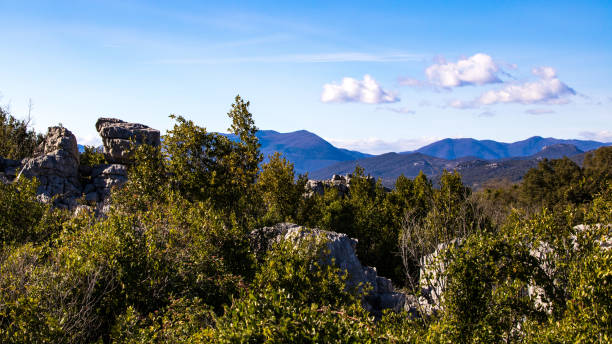 Sea of rocks (Occitanie, France) Landscape of the natural site of the sea of ​​the rocks, with in background the mountains of the Cevennes. cevennes national park stock pictures, royalty-free photos & images
