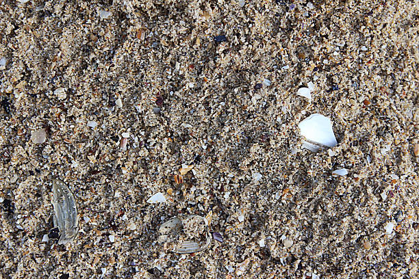 Sea sand stock photo