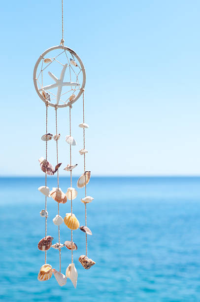 sea shell decoration stock photo