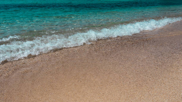 Sea wave on the sandy beach stock photo