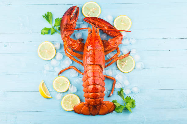 Seafood feastLemon and fresh Boston lobster on the ice stock photo